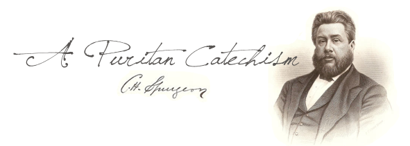 A-Puritan-Catechism-Graphic